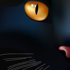 Misterio